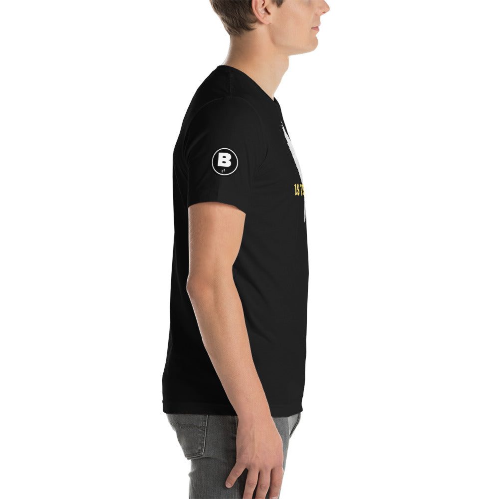 Is that it? | Unisex t-shirt